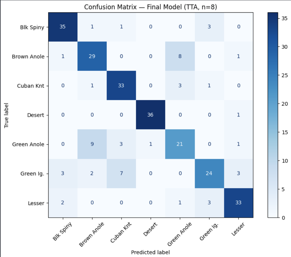 Lizard Classification (Deep Learning Challenge)